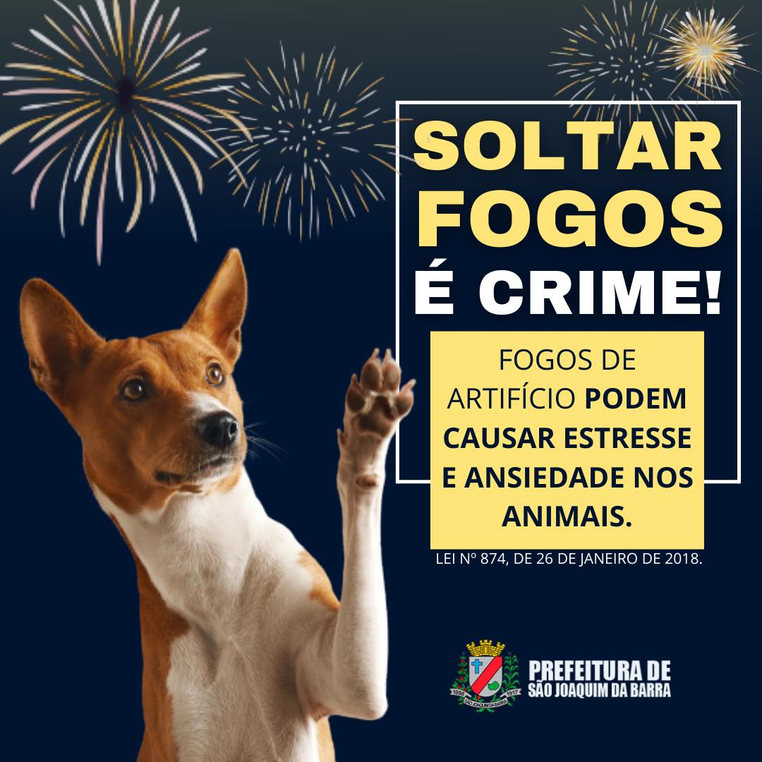 OAB-DF faz campanha contra rojões e fogos de artifício