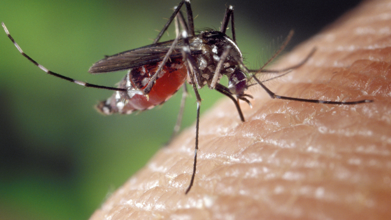 Prefeitura intensifica combate à dengue na região central