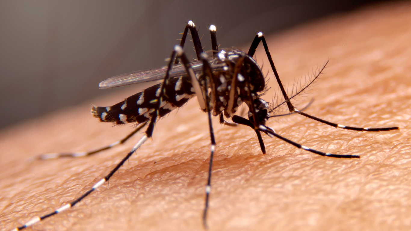 São Joaquim da Barra terá cronograma de fumacê contra a dengue
